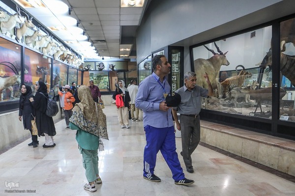 همایش پیاده‌روی خانوادگی جهادگران جهاد دانشگاهی