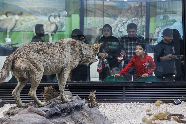 همایش پیاده‌روی خانوادگی جهادگران جهاد دانشگاهی