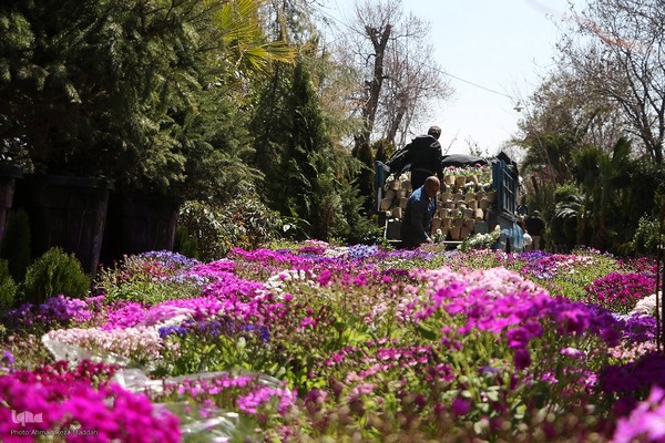 بازار گل شیراز‎‎ در آستانه سال نو