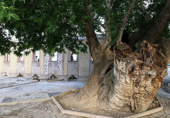 بهشت زیبای آذربایجان