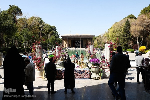 نرگس صمدزاده