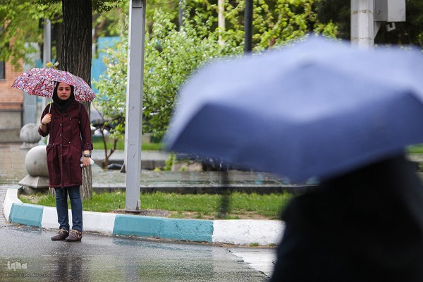 ترنم باران بهاری بر چهره شهر