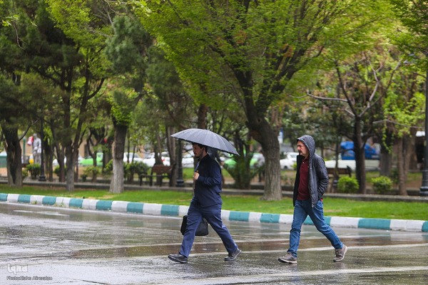 ترنم باران بهاری بر چهره شهر