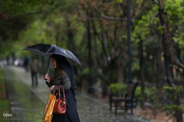 ترنم باران بهاری بر چهره شهر