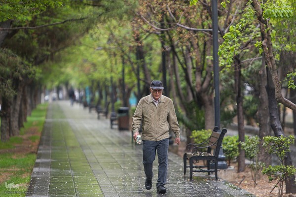 ترنم باران بهاری بر چهره شهر