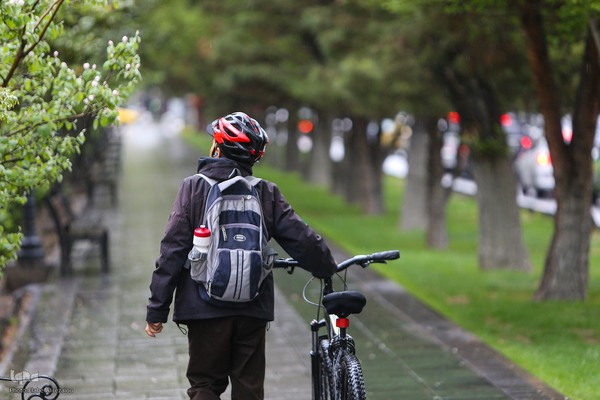 ترنم باران بهاری بر چهره شهر