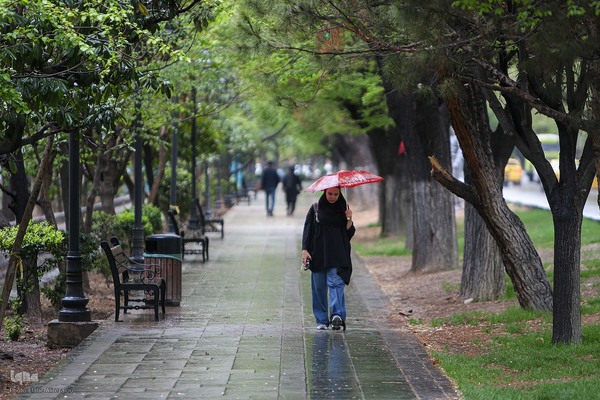 ترنم باران بهاری بر چهره شهر