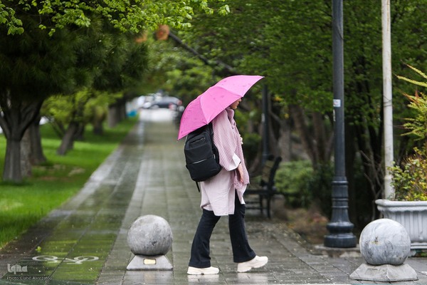 ترنم باران بهاری بر چهره شهر
