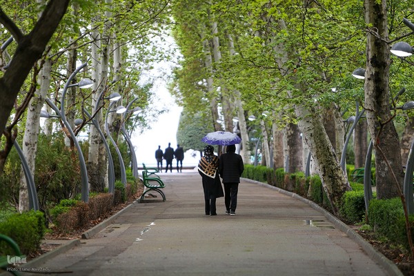 ترنم باران بهاری بر چهره شهر