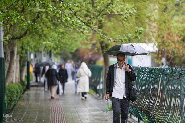 ترنم باران بهاری بر چهره شهر