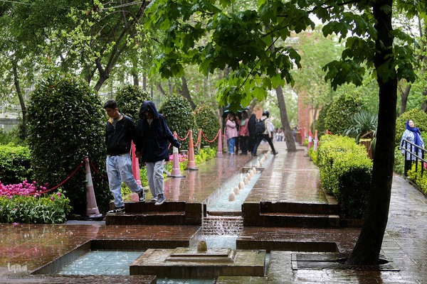 رقص لاله‌ها در باران