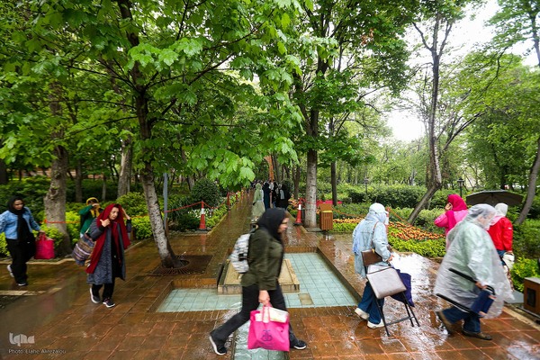 رقص لاله‌ها در باران