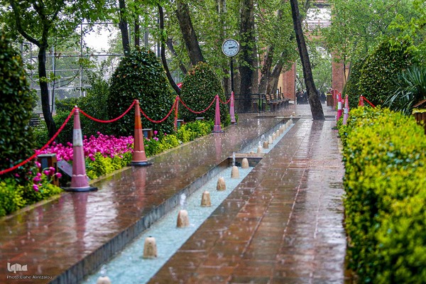 رقص لاله‌ها در باران