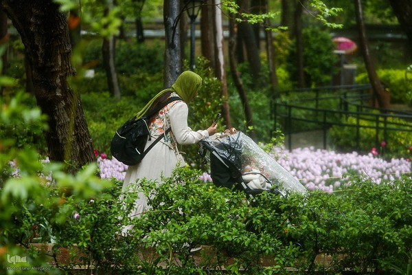 رقص لاله‌ها در باران