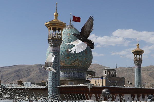 ششم ذی‌القعده، بزرگداشت حضرت شاهچراغ(ع)‎‎