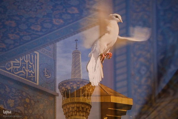 نمایشگاه آثار تجسمی با موضوع فرهنگ و سیره رضوی