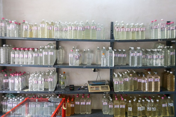 آیین کهن گلاب گیری در نیاسر