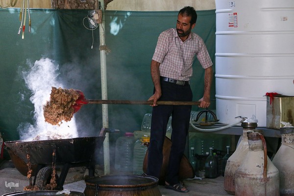 آیین کهن گلاب گیری در نیاسر