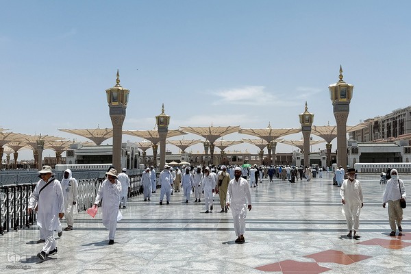 حال‌وهوای مسجد النبی (ص) در ایام حج 1404