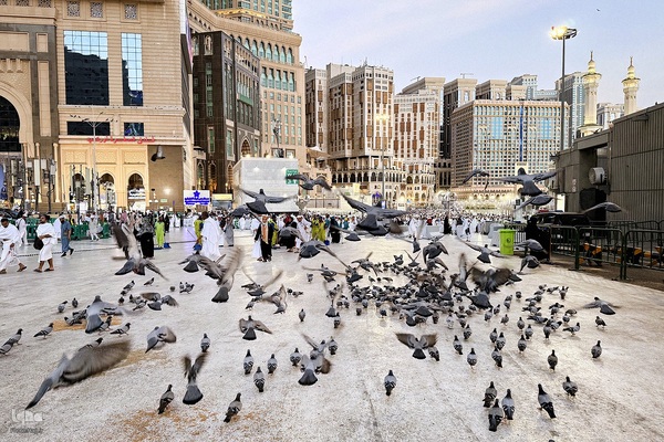 نخستین روز حج تمتع