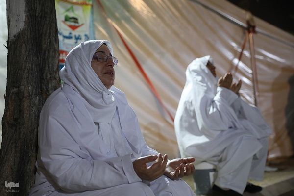 آوای دعای امام حسین (ع) در دل عرفات؛ شب بی‌نهایت نیاز