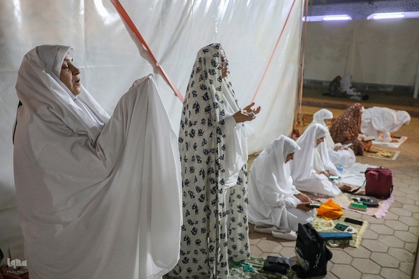 آوای دعای امام حسین (ع) در دل عرفات؛ شب بی‌نهایت نیاز