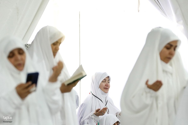 دعای عرفه زائران ایرانی در صحرای عرفات