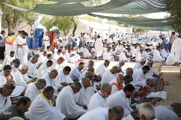 دعای عرفه زائران ایرانی در صحرای عرفات