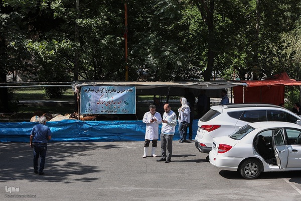 عید قربان، عید همدلی؛ ذبح بهداشتی قربانی در شیرخوارگاه آمنه برای نیازمندان