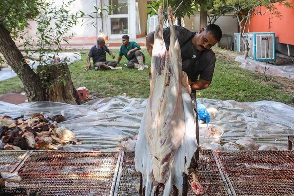 عید قربان، عید همدلی؛ ذبح بهداشتی قربانی در شیرخوارگاه آمنه برای نیازمندان