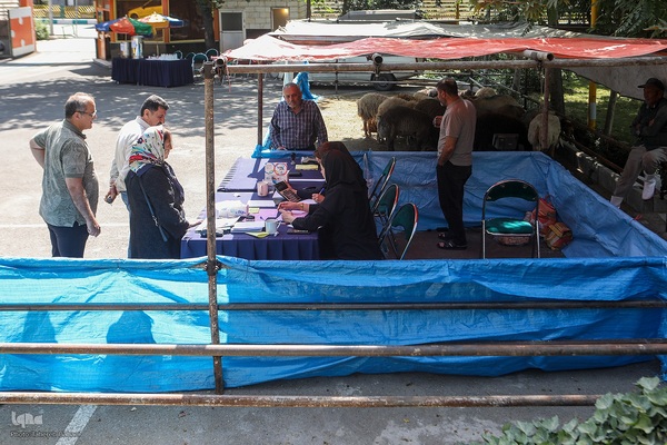 عید قربان، عید همدلی؛ ذبح بهداشتی قربانی در شیرخوارگاه آمنه برای نیازمندان