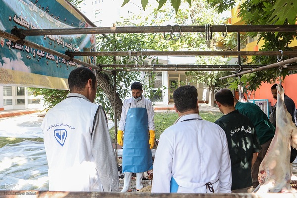 عید قربان، عید همدلی؛ ذبح بهداشتی قربانی در شیرخوارگاه آمنه برای نیازمندان