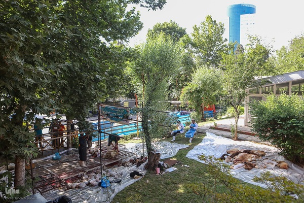 عید قربان، عید همدلی؛ ذبح بهداشتی قربانی در شیرخوارگاه آمنه برای نیازمندان