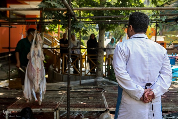 عید قربان، عید همدلی؛ ذبح بهداشتی قربانی در شیرخوارگاه آمنه برای نیازمندان