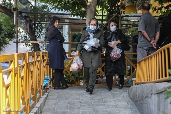 عید قربان، عید همدلی؛ ذبح بهداشتی قربانی در شیرخوارگاه آمنه برای نیازمندان