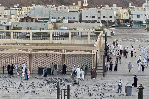 منطقه شهدای احد در مدینه منوره