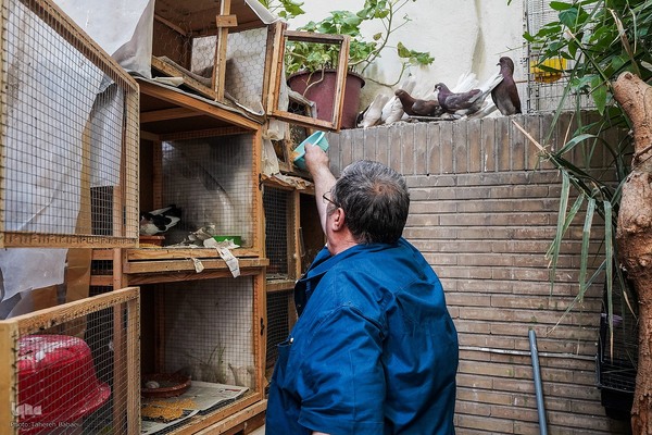 
دمی با جانِ جوانِ بخارا
