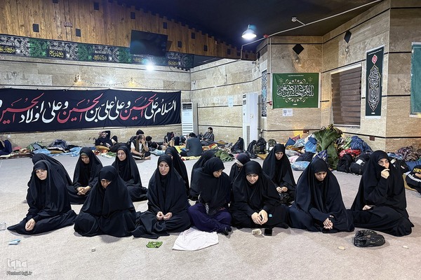 بازدید مسئولان حج و زیارت از خدمات به زائران در مسیر مشایه و کربلای معلی