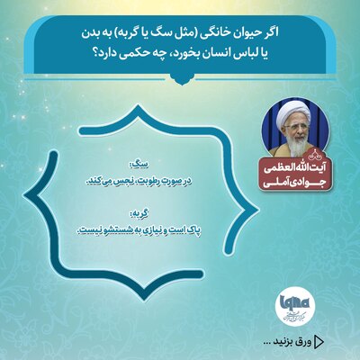 حکم شرعی تماس سگ و گربه با بدن یا لباس انسان