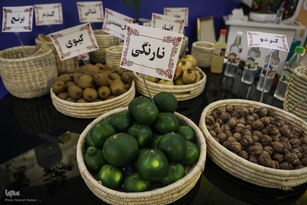 همایش ملی تجلیل از نام‌آوران علم و وقف