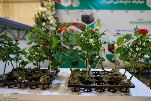 همایش ملی تجلیل از نام‌آوران علم و وقف