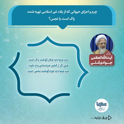 حکم استفاده از چرم و اجزای حیوانات وارداتی