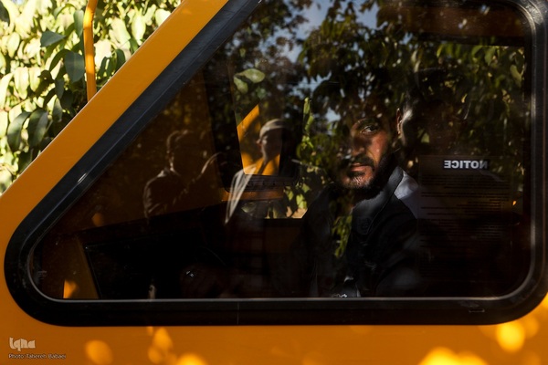 برداشت گردو اصلاح شده با دستگاه مکانیزه