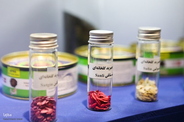 نمایشگاه «گزیده‌ای از دستاوردهای علمی و فناورانه جهاددانشگاهی»