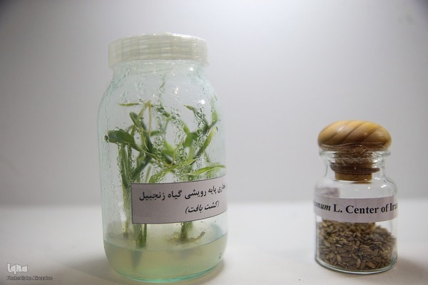 روز دوم نمایشگاه دستاوردهای علمی و فناورانه جهاددانشگاهی