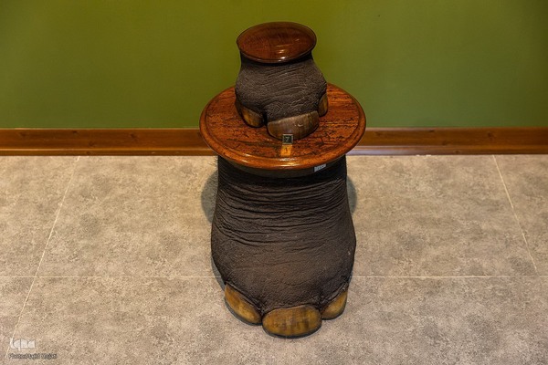 پردیس موزه ایی رامسر