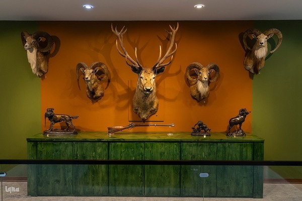 پردیس موزه ایی رامسر