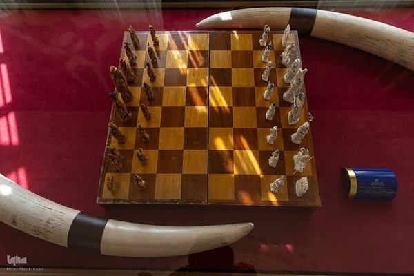 پردیس موزه ایی رامسر