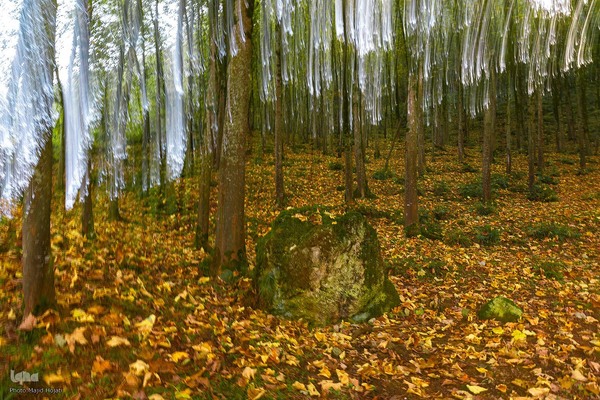طبیعت پائیزی جنگل دالخانی و نمک آبرود مازندران