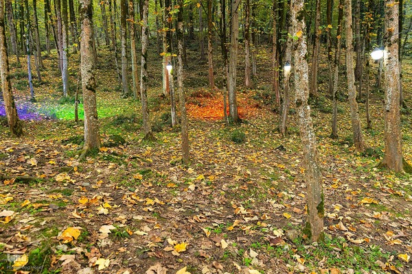 طبیعت پائیزی جنگل دالخانی و نمک آبرود مازندران